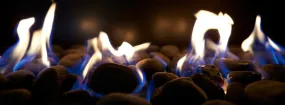 Gas Fireplace Embers Argyle