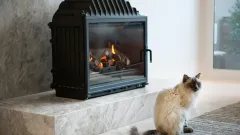 Wood Burning Fireplace Repair Argyle