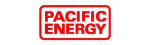 Pacific Energy Enviro Fireplace Repair in Argyle